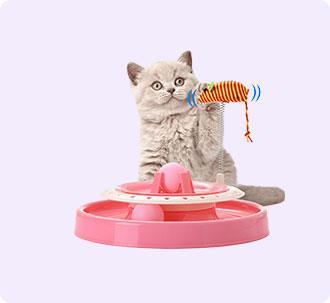 Cat Toys